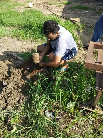 Tree Plantation 2019 – Babai