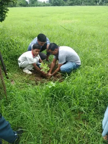 Tree Plantation 2019 – Babai