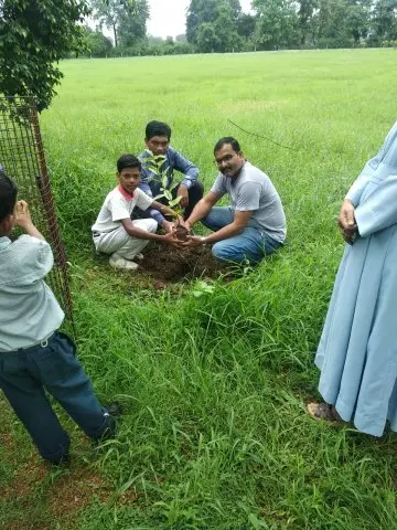 Tree Plantation 2019 – Babai