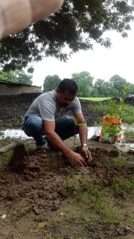 Tree Plantation 2019 – Babai