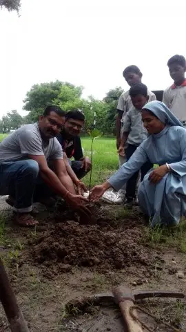 Tree Plantation 2019 – Babai