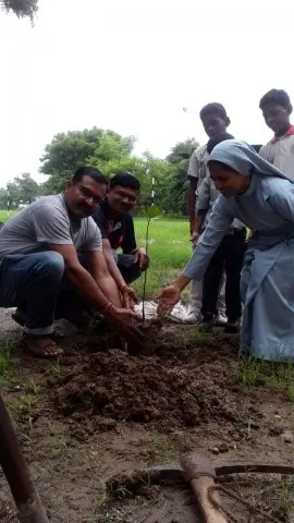 Tree Plantation 2019 – Babai