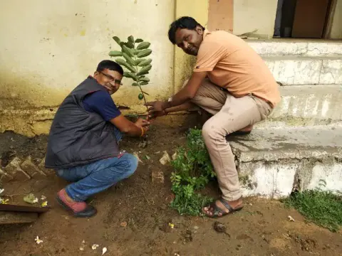 Tree Plantation 2019 – Babai