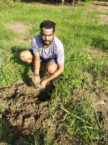 Tree Plantation 2019 – Babai