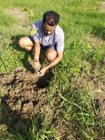 Tree Plantation 2019 – Babai