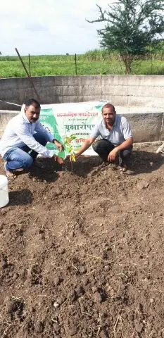 Tree Plantation 2019 – Baramati