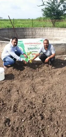 Tree Plantation 2019 – Baramati