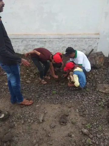 Tree Plantation 2019 – Baramati