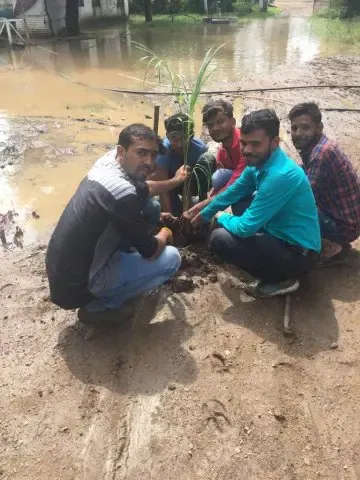 Tree Plantation 2019 – Bareilly