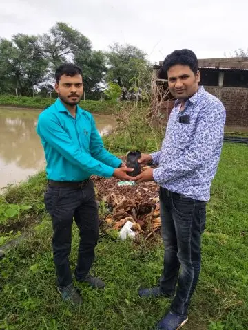 Tree Plantation 2019 – Bareilly