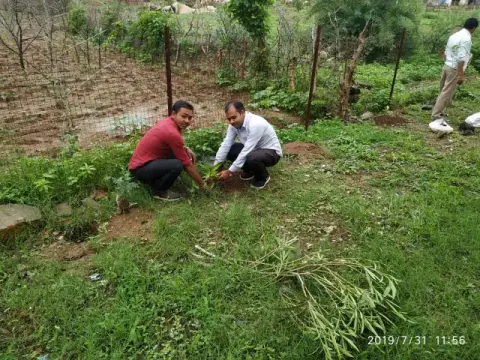 Tree Plantation 2019 – Bemetara