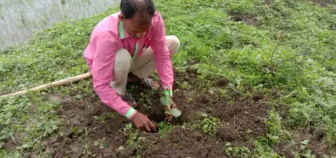 Tree Plantation 2019 – Bemetara