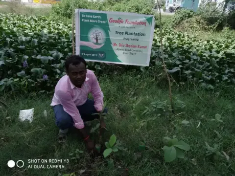 Tree Plantation 2019 – Bihar