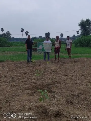 Tree Plantation 2019 – Bihar