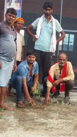 Tree Plantation 2019 – Bihar