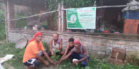 Tree Plantation 2019 – Bihar
