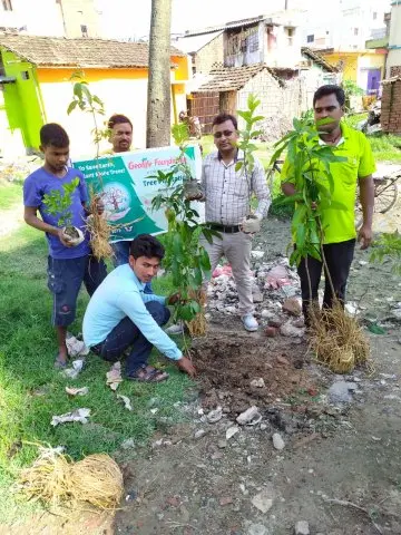 Tree Plantation 2019 – Bihar