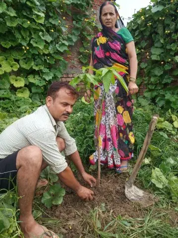 Tree Plantation 2019 – Bihar