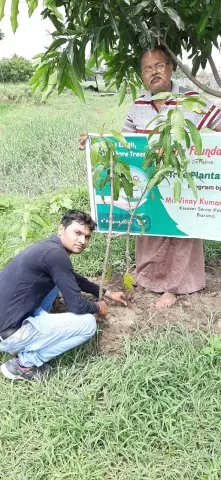 Tree Plantation 2019 – Bihar
