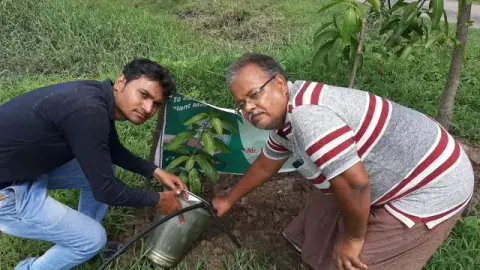 Tree Plantation 2019 – Bihar