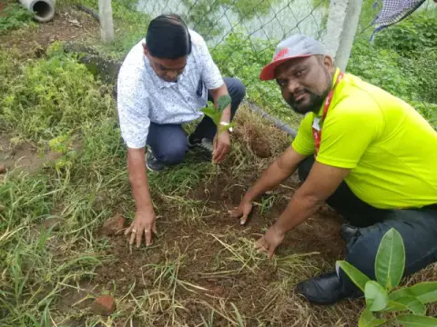 Tree Plantation 2019 – Bilaspur