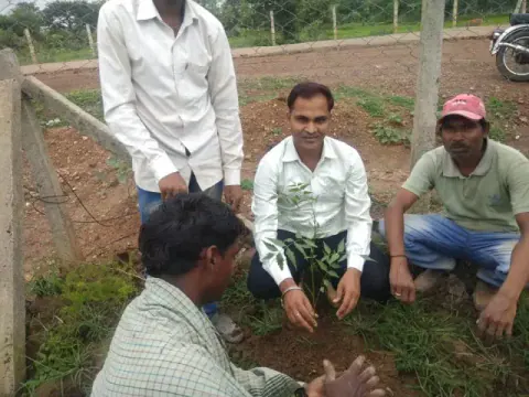 Tree Plantation 2019 – Bilaspur