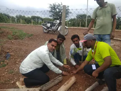 Tree Plantation 2019 – Bilaspur