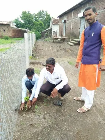 Tree Plantation 2019 – Chandrapur