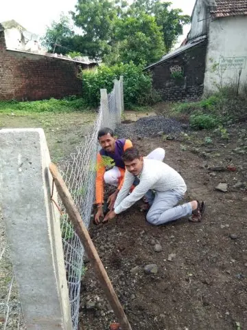 Tree Plantation 2019 – Chandrapur