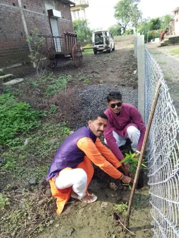 Tree Plantation 2019 – Chandrapur
