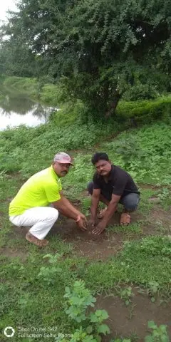 Tree Plantation 2019 – Chandrapur