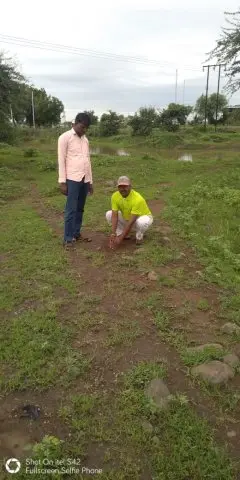 Tree Plantation 2019 – Chandrapur