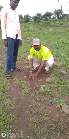 Tree Plantation 2019 – Chandrapur