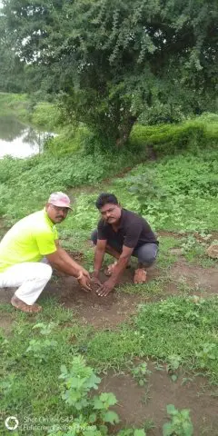 Tree Plantation 2019 – Chandrapur