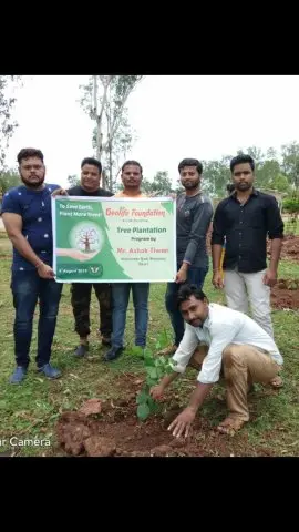 Tree Plantation 2019 – Chhindwara