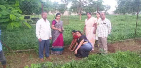Tree Plantation 2019 – Chhindwara