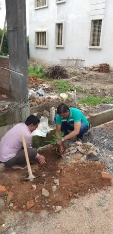 Tree Plantation 2019 – Chhindwara