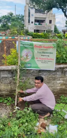 Tree Plantation 2019 – Chhindwara