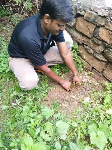 Tree Plantation 2019 – Damoh