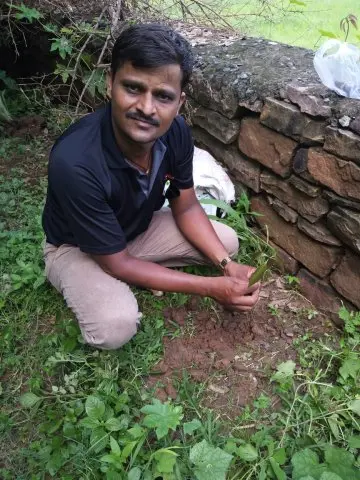 Tree Plantation 2019 – Damoh