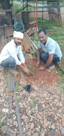 Tree Plantation 2019 – Durg