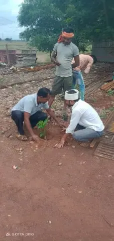 Tree Plantation 2019 – Durg