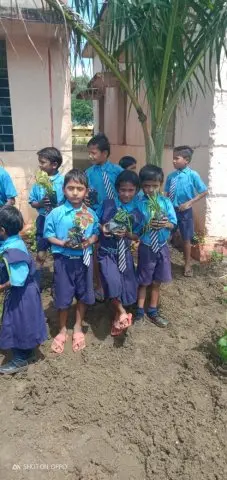 Tree Plantation 2019 – Durg