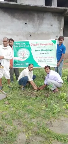 Tree Plantation 2019 – Guna