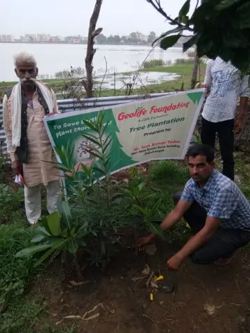 Tree Plantation 2019 – Guna