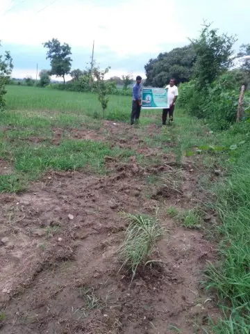 Tree Plantation 2019 – Gwalior