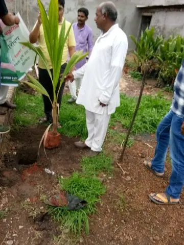Tree Plantation 2019 – Harda