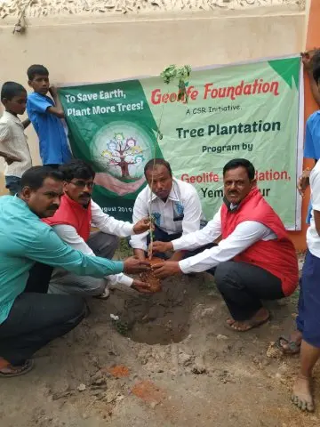 Tree Plantation 2019 – Hyderabad