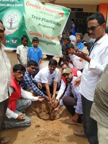 Tree Plantation 2019 – Hyderabad