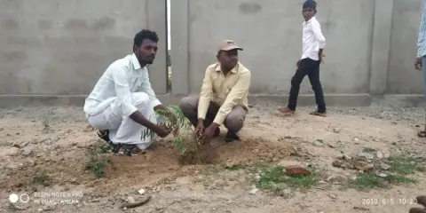 Tree Plantation 2019 – Hyderabad